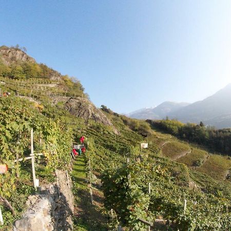 winebnb Sondrio Zewnętrze zdjęcie
